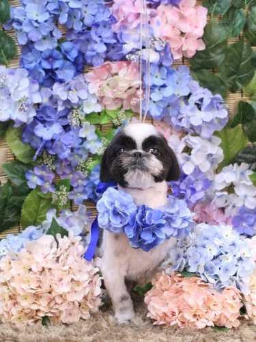 20250622たいがくん